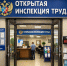 «О системе электронных сервисов Роструда». - Город Сосновоборск