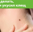 Вместе с клещом можно подцепить опасные болезни. - Город Сосновоборск