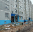 В Сосновоборске введен карантин по бешенству - Газета Рабочий